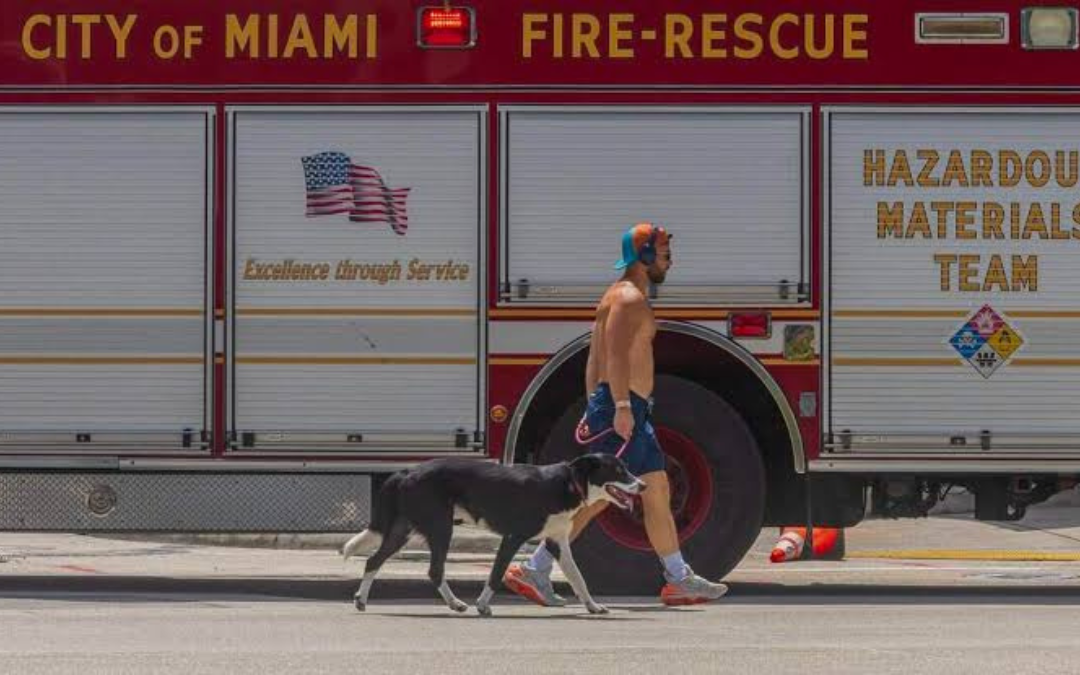 Calle de Miami en un día de calor extremo que afecta el funcionamiento del cerebro